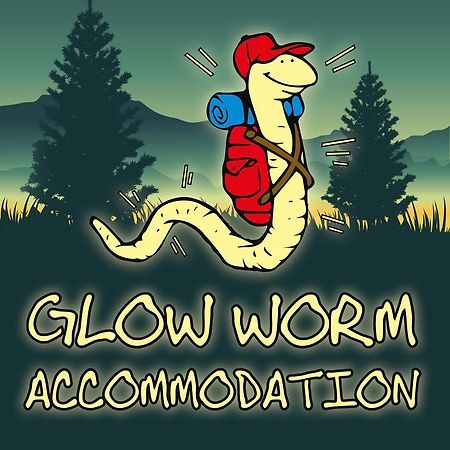 Glow Worm Accommodation Franz Josef Eksteriør bilde